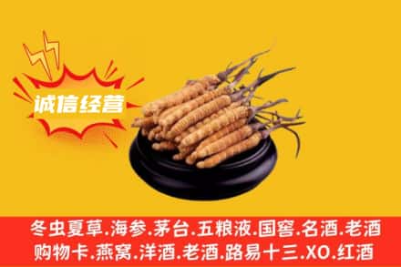 福州市鼓楼回收冬虫夏草